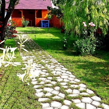 Casa Pavel Jurilovca Villa ภายนอก รูปภาพ