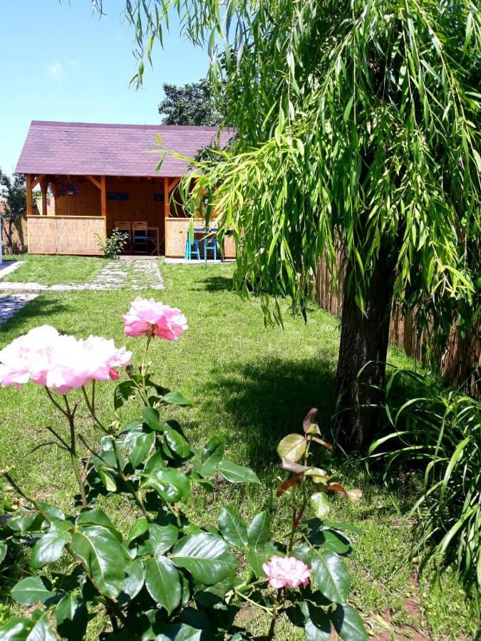 Casa Pavel Jurilovca Villa ภายนอก รูปภาพ