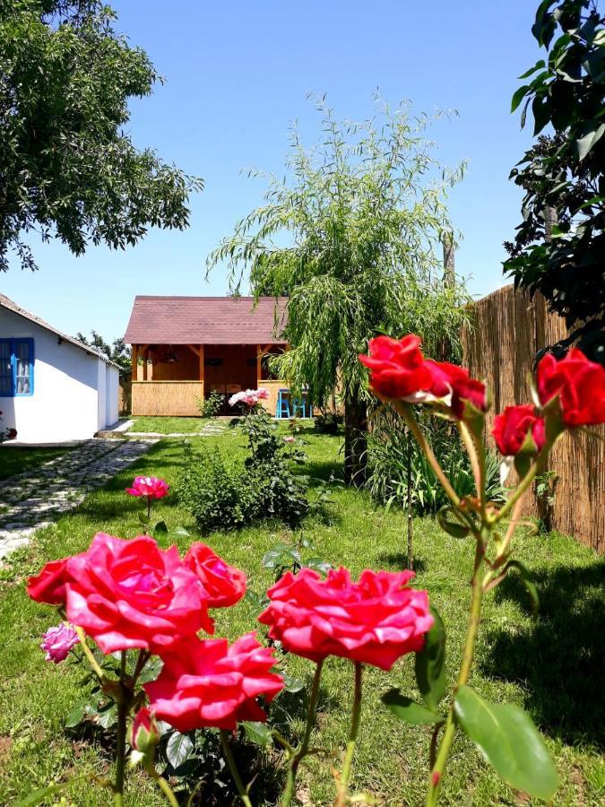 Casa Pavel Jurilovca Villa ภายนอก รูปภาพ