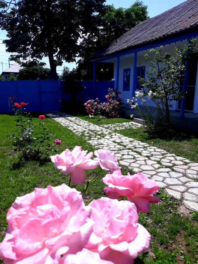 Casa Pavel Jurilovca Villa ภายนอก รูปภาพ