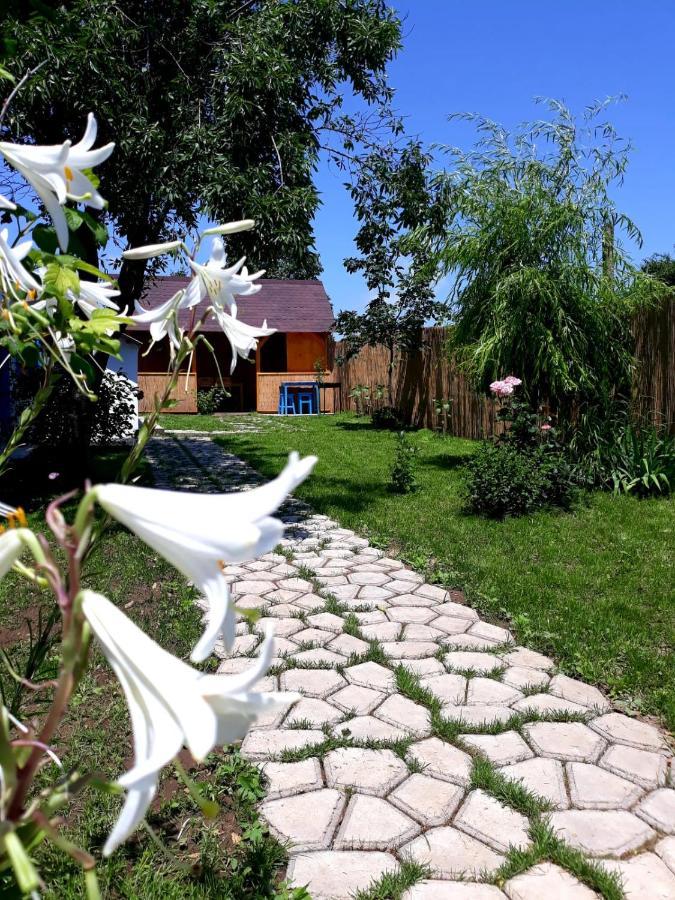 Casa Pavel Jurilovca Villa ภายนอก รูปภาพ